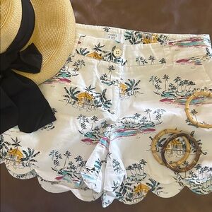 🌴Crown & Ivy Tropical Shelby Scalloped Hem Shorts Size 8 NWOT Palm Print